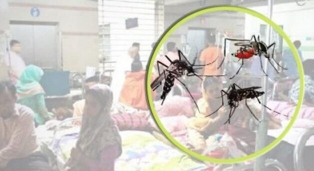 ফরিদপুরে ডেঙ্গুতে প্রাণ গেল আরও ১ জনের, হাসপাতালে ৩৬৮ জন