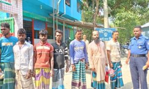 সিরাজগঞ্জে নিষেধাজ্ঞা অমান্য করে যমুনায় ইলিশ শিকার, ৫ জেলে সহ ২ ব্যবসায়ীকে কারাদণ্ড