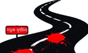 বগুড়ার নন্দীগ্রামে সড়ক দুর্ঘটনায় বৃদ্ধ নিহত