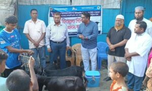 হিলিতে বিনামূল্যে পিপিআর টিকা প্রদান কার্যক্রম শুরু