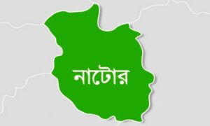 নাটোরে প্রশাসনের খবর পেয়ে পালালেন বর: মেয়ের বাবার জরিমানা