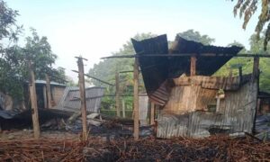 শ্রীপুরে ভয়াবহ অগ্নিকাণ্ডে নিহত ২