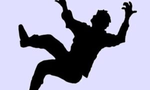 নড়াইলে নারকেল গাছ থেকে পড়ে বৃদ্ধ’র মৃত্যু