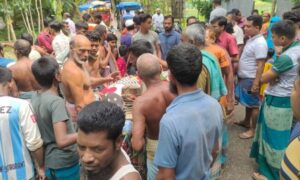 বরগুনায় গাছ কাটতে গিয়ে কাঠুরিয়া নিহত