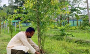 রংপুরে ১২০ প্রজাতির ফলের বাগান করে সাফল্য তরুন উদ্যোক্তা জাকিরুজ্জামান