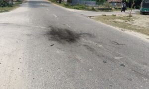 সালথায় ককটেল বিস্ফোরণ, পুলিশের ওপর হামলা, বিএনপির ২ নেতাকর্মী আটক