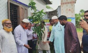 সাতক্ষীরায় শিক্ষার্থীদের মাঝে গাছের চারা বিতরণ