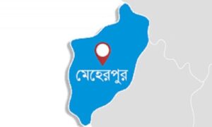 মেহেরপুরের গাংনীর এলাঙ্গিতে দেয়াল চাপায় নারী নিহত, স্বামী-সন্তান আহত