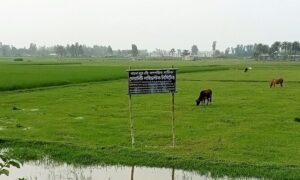 নন্দীগ্রামে শতবিঘা আবাদি জমি ধ্বংস করে শিল্প-কারখানা
