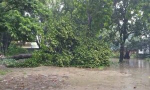 মেহেরপুরে টানা তিন দিন ধরে বৃষ্টিপাতে জনজীবন অতিষ্ঠ