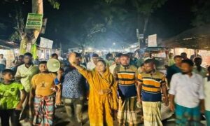 সরকারের উন্নয়নের বার্তা সাধারণ মানুষের কাছে পৌছে দিচ্ছেন আ.লীগ নেত্রী লিলি