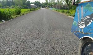 পাটগ্রামে সড়ক সংস্কারে অনিয়ম ও দুর্নীতি অভিযোগ