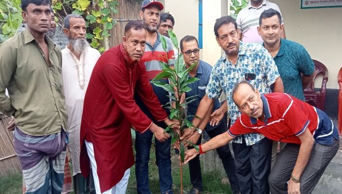 নাটোরে আশ্রায়ন প্রকল্পে দুই শতাধিক বৃক্ষ বিতরণ
