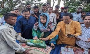 সালথায় টর্নেডোতে ক্ষতিগ্রস্থদের পাশে বিএনপি নেত্রী শামা ওবায়েদ
