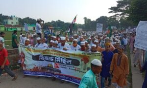 কেন্দুয়ায় ইসরাইল বিরোধী বিক্ষোভ মিছিল-সমাবেশ