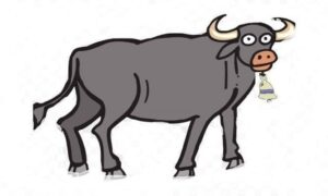 আমতলীতে ৬ লক্ষ টাকা মূল্যের ৪টি মহিষ চুরি