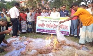 নন্দীগ্রামে লাখ টাকার কারেন্ট জাল আগুনে পুড়িয়ে ধ্বংস