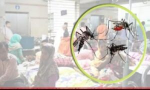 ফরিদপুরে ডেঙ্গুতে প্রাণ গেল আরও দুই নারীর, হাসপাতালে ২৯৩ জন