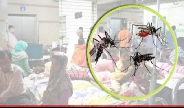 ফরিদপুরে ডেঙ্গুতে প্রাণ গেল আরও দুই নারীর, হাসপাতালে ২৯৩ জন
