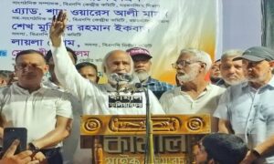 সরকারের পতন ঘটিয়ে সুষ্ঠ-নিরপেক্ষ নির্বাচন করবে বিএনপি