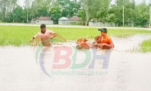 তিস্তার পানি বিপদসীমার উপর দিয়ে প্রবাহিত হচ্ছে, হাজারও মানুষ পানিবন্দি