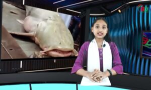 বিডিহেডলাইন্স সংবাদ শিরোনাম || 05.10.23 || ফারিয়া ফেরদৌস || BDHEADLINES24.COM