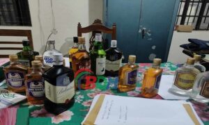 সালথায় দেশি-বিদেশি ১৭ বোতল মদসহ নারী আটক