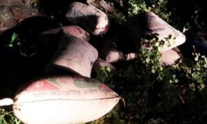 সিরাজগঞ্জের শাহজাদপুরে পরিত্যক্ত স্থান থেকে সরকারি চাউল উদ্ধার