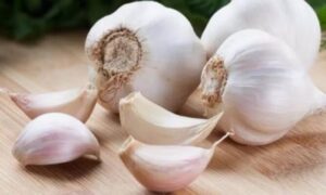 দিনে দুই কোয়া রসুন খাওয়ার ১২টি উপকারিতা