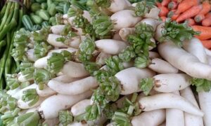 হিলিতে মুলার কেজি ৫ টাকা