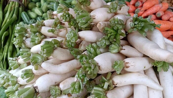 হিলিতে মুলার কেজি ৫ টাকা