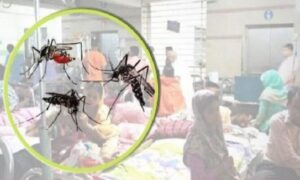 ফরিদপুরে ডেঙ্গুতে প্রাণ গেল আরও দু’জনের, হাসপাতালে ২০১