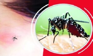 ফরিদপুরে ডেঙ্গুতে একদিনে প্রাণ গেল আরও দুই জনের