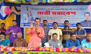 দেশ উন্নয়নশীল দেশে উন্নীত হয়েছে নৌকার জন্য: এলএলবি রানা