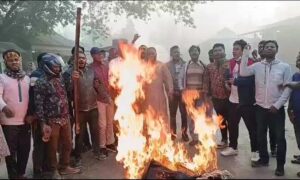 হরতালের সমর্থনে কিশোরগঞ্জে বিএনপির মিছিল