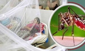 ফরিদপুরে ডেঙ্গুতে আরও এক নারীর মৃত্যু, হাসপাতালে ১৭৫