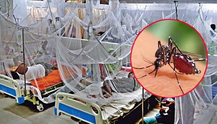 সালথায় ডেঙ্গুতে গৃহবধূর মৃত্যু, হাসপাতালে ৩৯