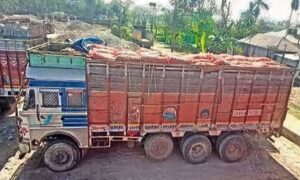 বুড়িমারী স্থলবন্দর দিয়ে আলু আমদানি