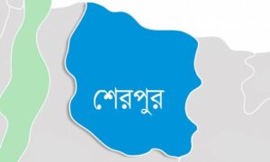 শেরপুরে ট্রাকের চাপায় মোটরসাইকেল আরোহী নিহত