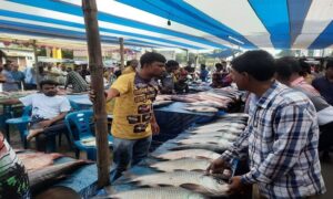 জামাইদের নিয়ে বসেছে নবান্নের মাছের মেলা