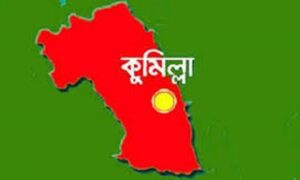 এমপি সমর্থকের হামলায় ইউপি চেয়ারম্যান আহত