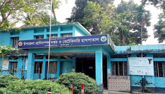 নন্দীগ্রামে পশু হাসপাতালে আড্ডায় ব্যস্ত চিকিৎসক