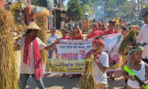 শেরপুরে নবান্ন উৎসব অনুষ্ঠিত