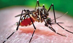 সারাদেশে ডেঙ্গুতে আরও ১০ জনের মৃত্যু