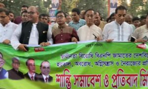 বিএনপি একদিন নিষিদ্ধ রাজনৈতিক দলে পরিনত হবে-বিএম মোজাম্মেল হক