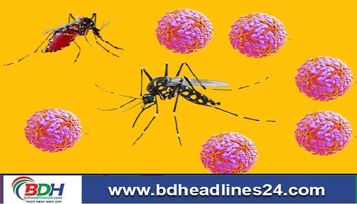 সারাদেশে ডেঙ্গুতে আরও ৯ জনের মৃত্যু