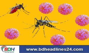 সারাদেশে ডেঙ্গুতে আরও ১৭ জনের মৃত্যু