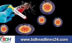 সারাদেশে ডেঙ্গুতে আরও ৭ মৃত্যু, হাসপাতালে ১০৯৪