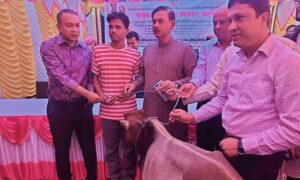 সিরাজগঞ্জে ক্ষুদ্র নৃ-গোষ্ঠীর মাঝে গরু বিতরণ