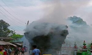 দিঘলিয়ায় সড়কে বিদ্যুতের তার ছিঁড়ে পাটের ট্রাকে আগুন